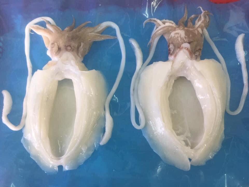 36bdcfa33a1cce42970d14