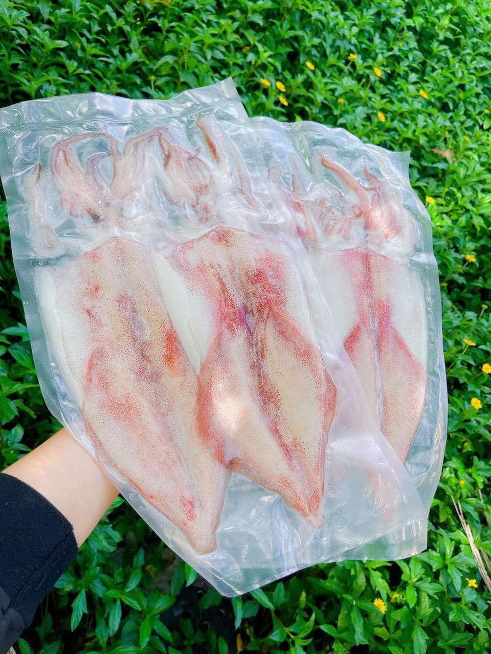 c894ba81d71a1e44470b